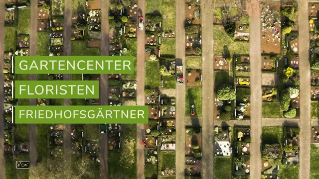 vimeo ganzauge cover 331235423